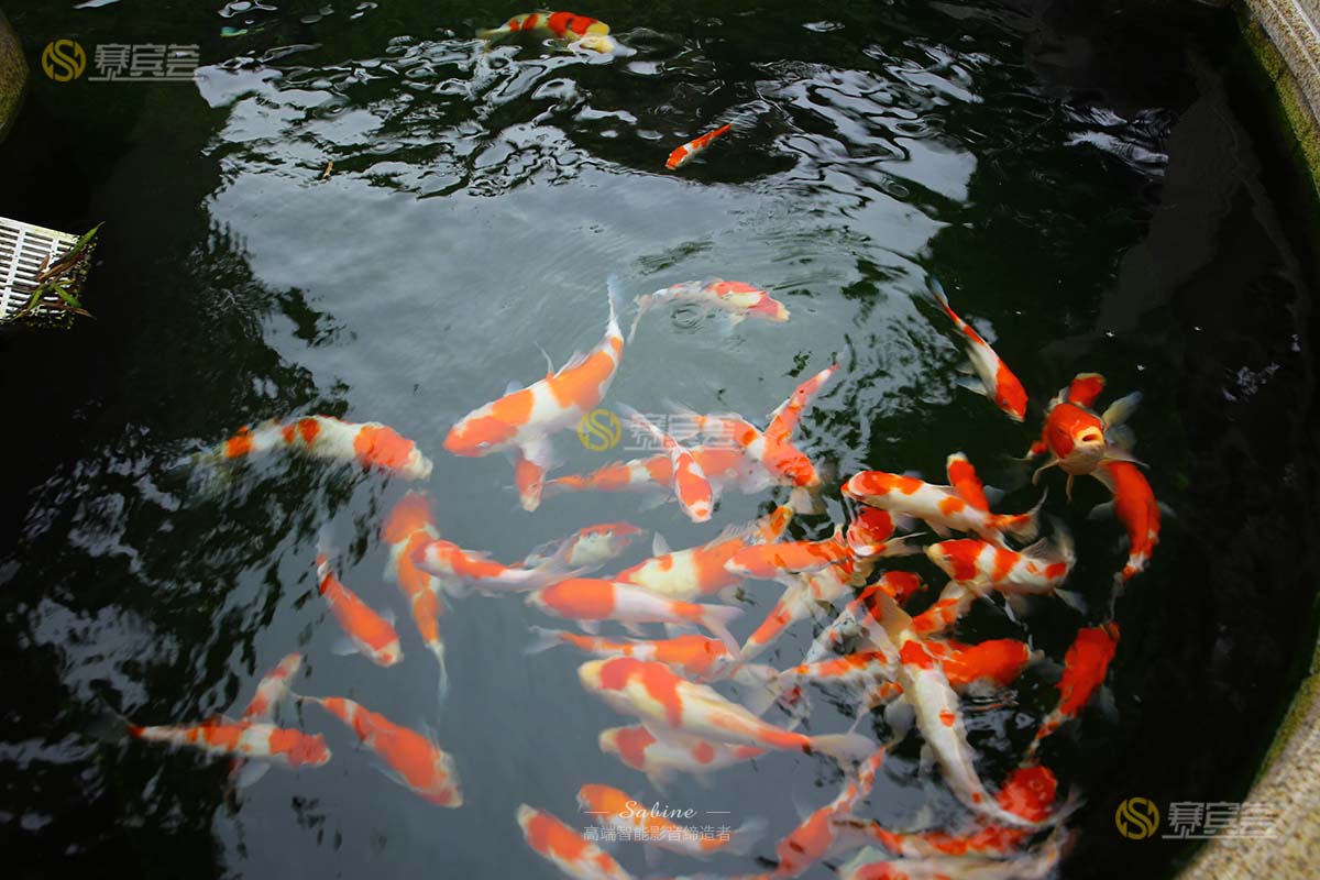 1617953415271056.jpg IMG_6572.jpg