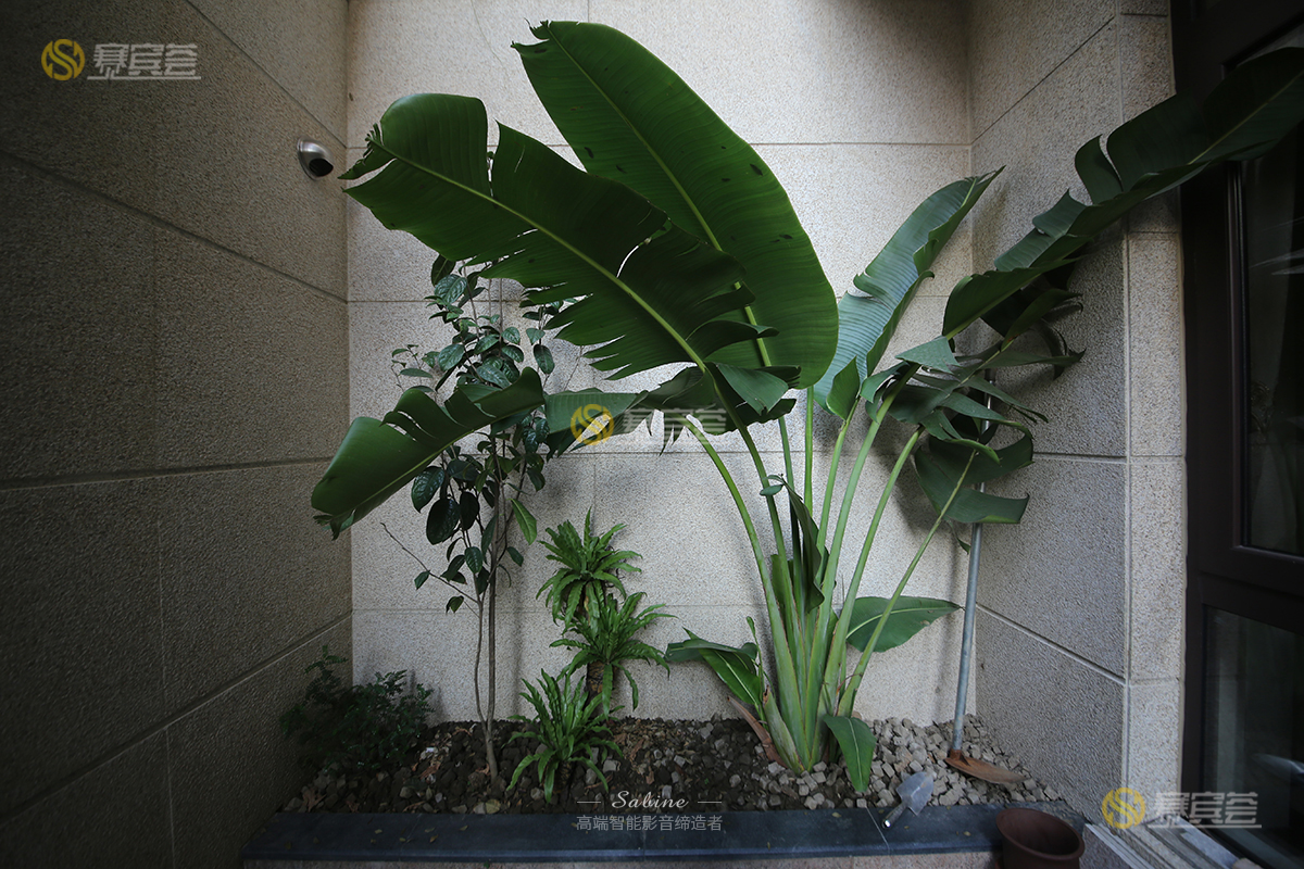 1618039958116392.jpg 外景4.jpg