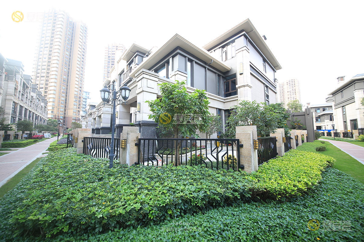 1621504850165878.jpg 1.jpg