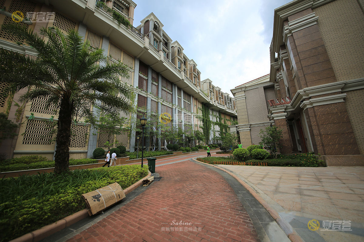 1621577380155977.jpg IMG_2067.jpg