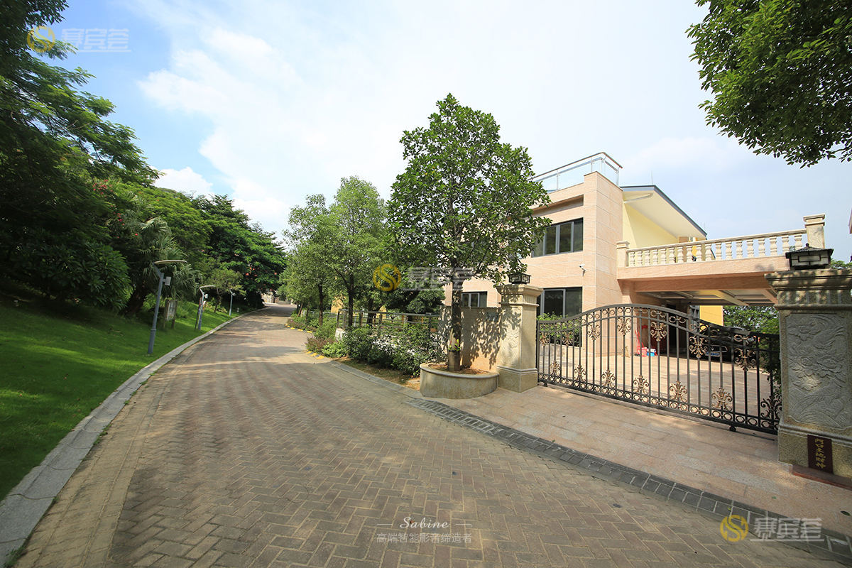 1621578541485527.jpg IMG_1783.jpg