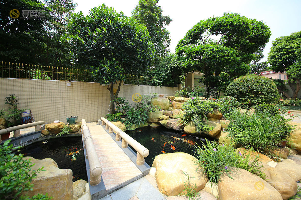 1621663554684271.jpg IMG_6312.jpg