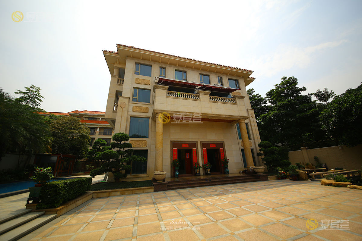 1621663636922405.jpg IMG_6314.jpg