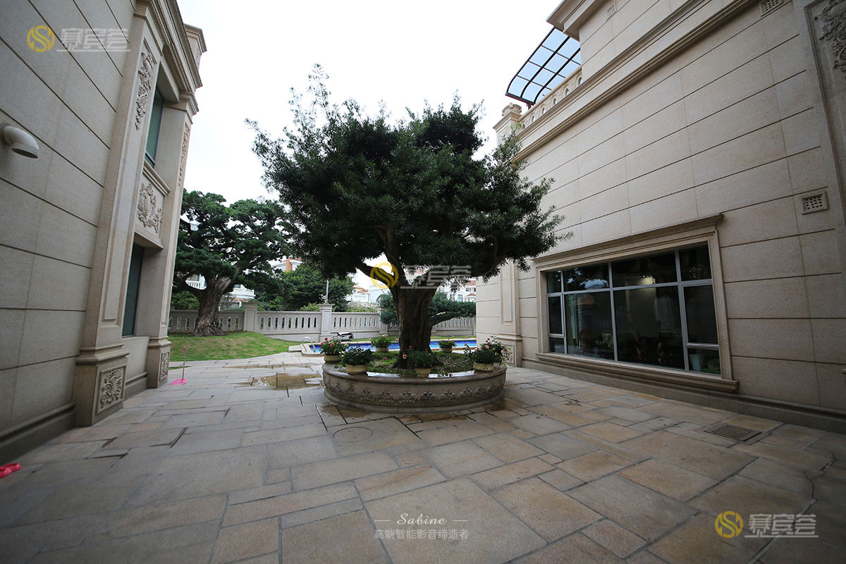 1621666641165463.jpg IMG_4304.jpg