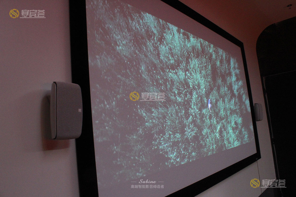 1621671495132367.jpg _MG_7204.jpg