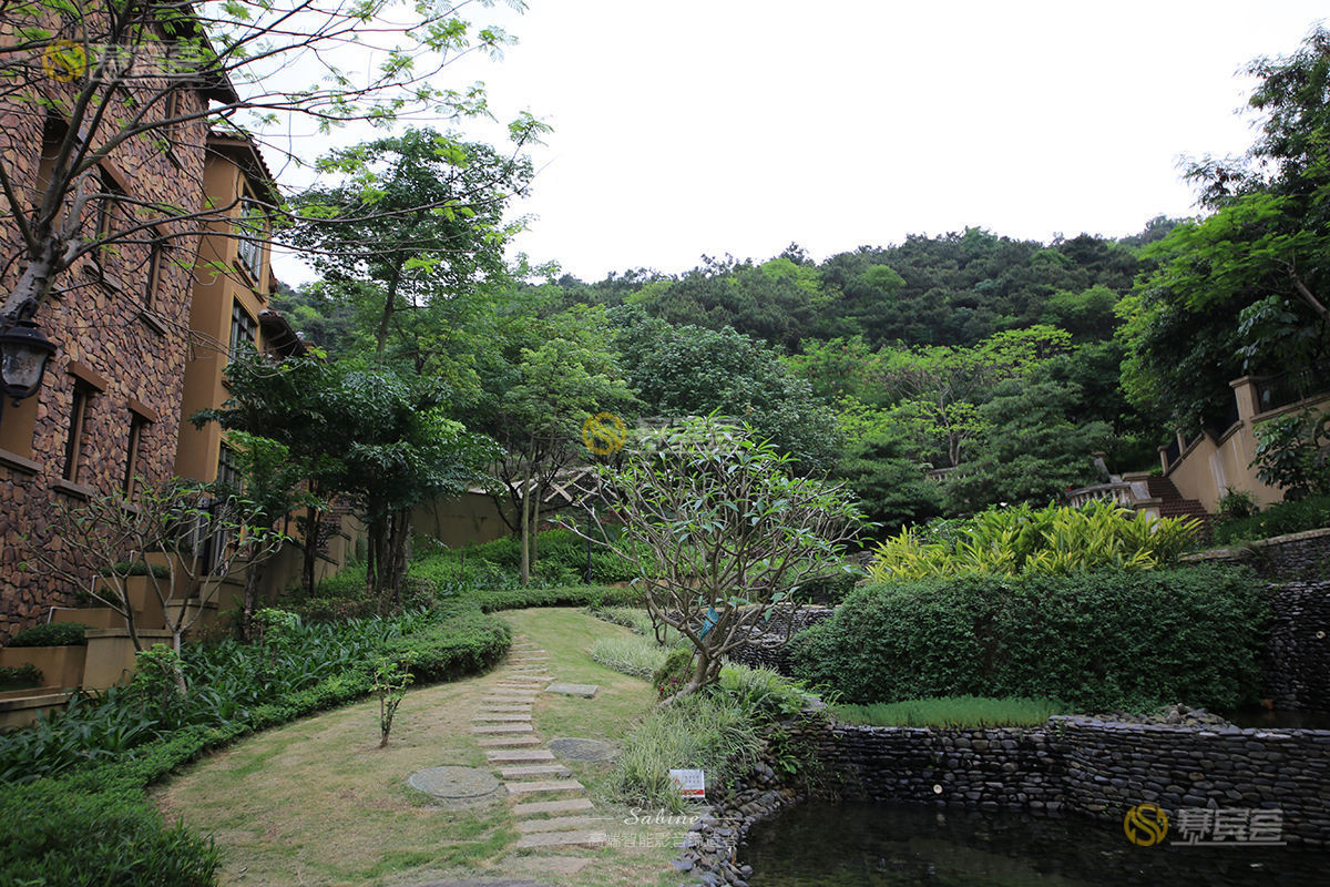 1621672329727083.jpg IMG_1876.jpg