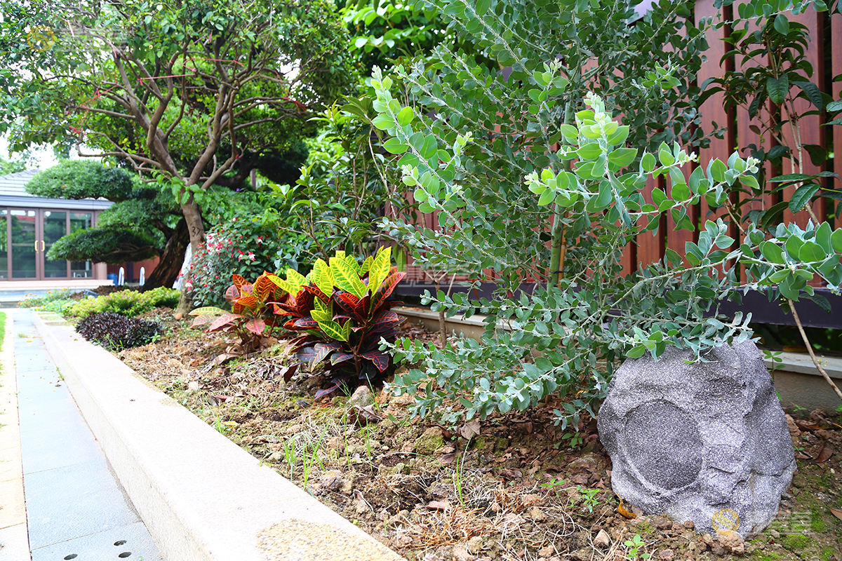 1624523161131578.jpg 8.jpg