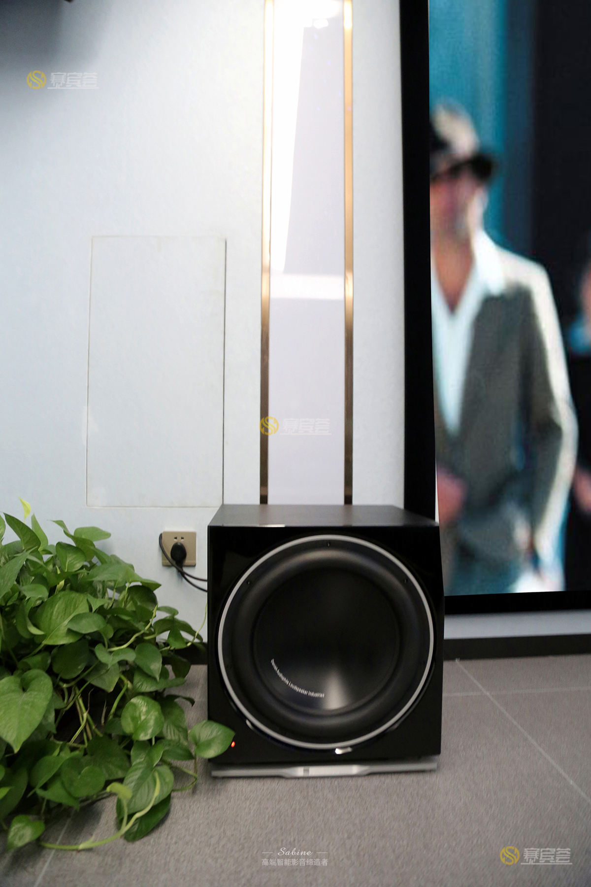 1624523304213362.jpg 19.jpg