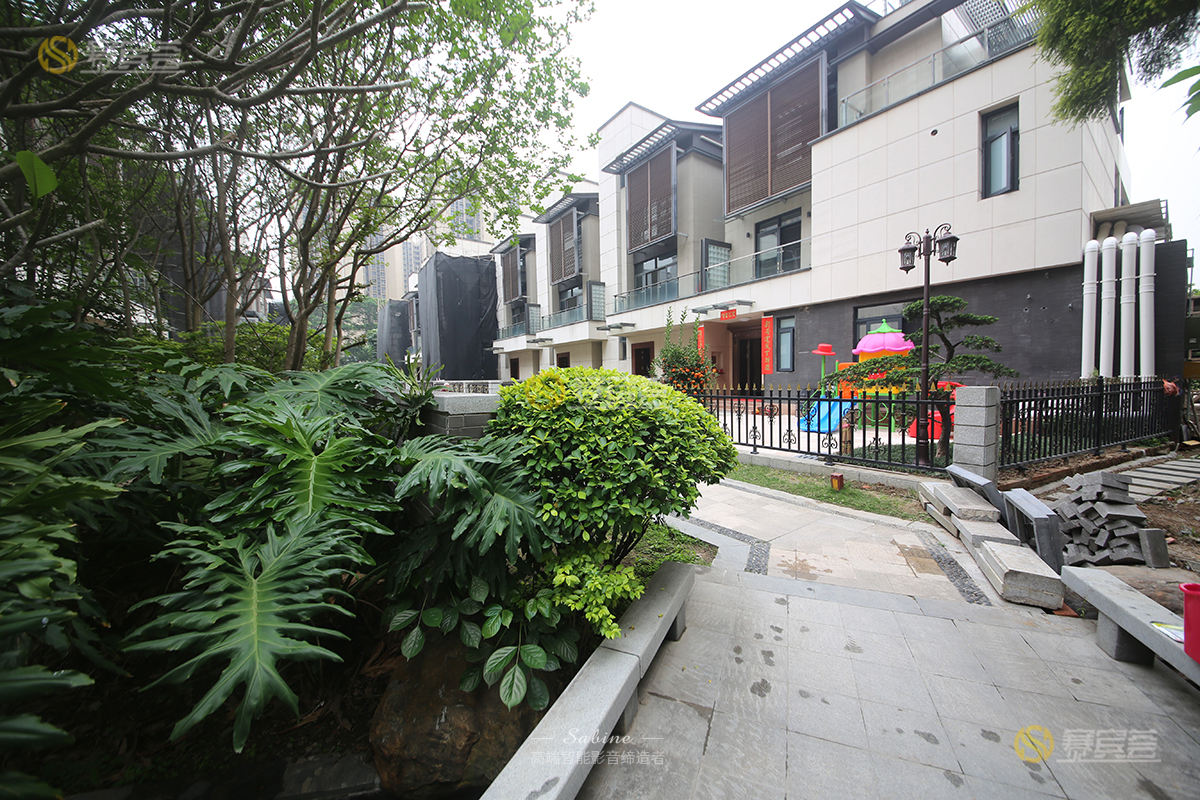 1624523515180498.jpg 3.jpg