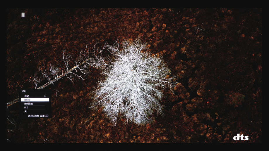 1627725568148645.png 6.png