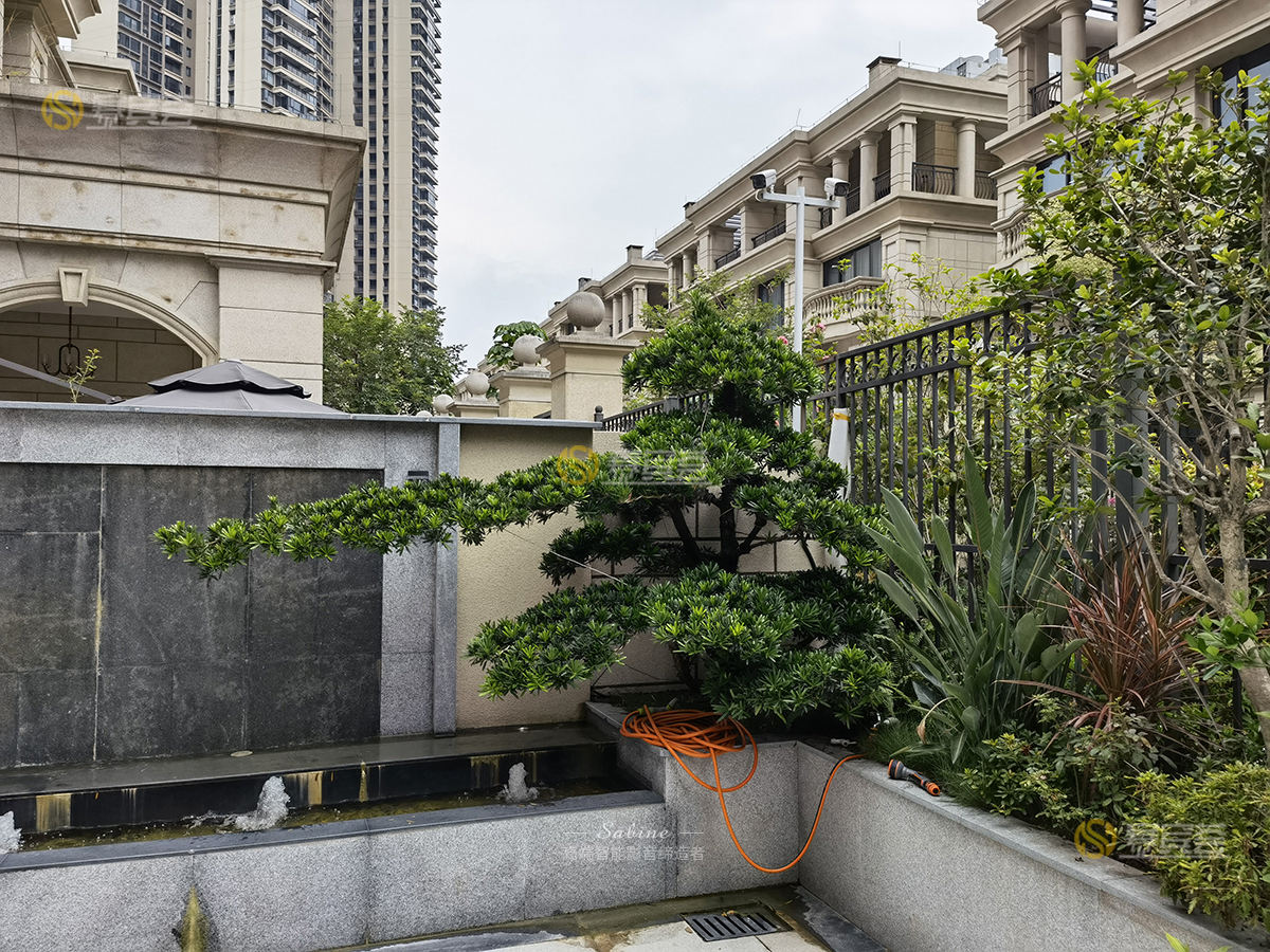 1630990368163400.jpg 9.jpg