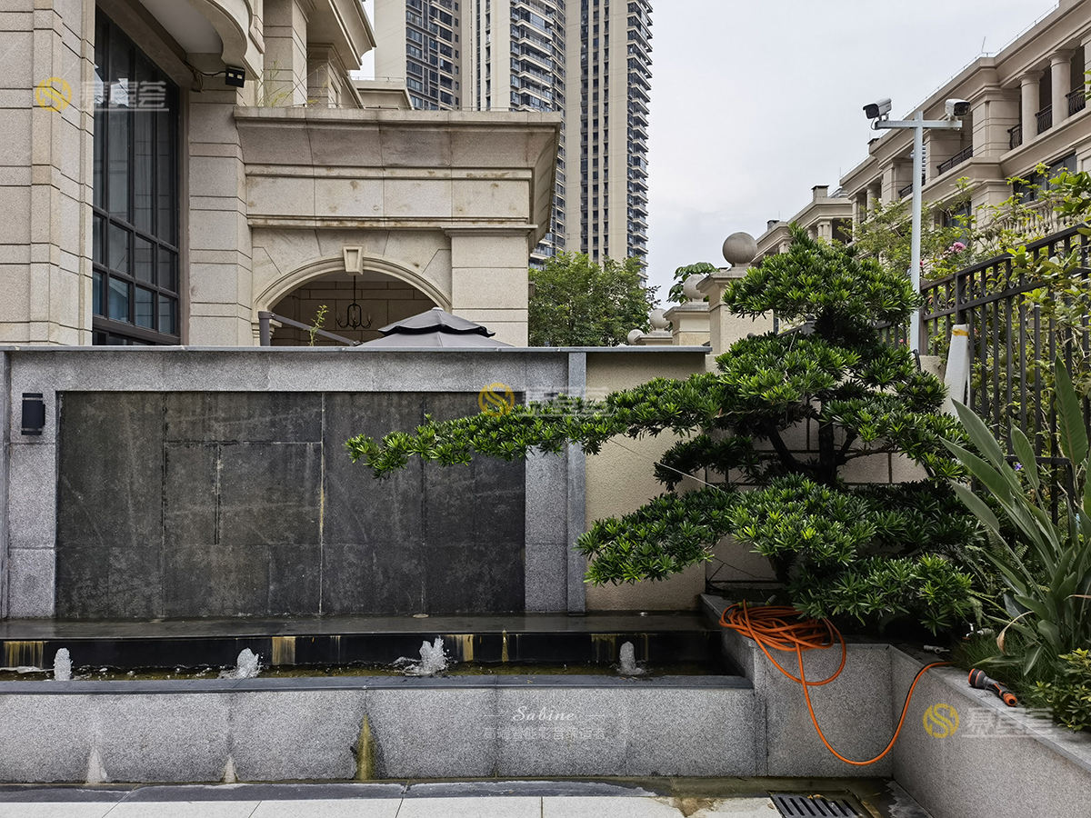 1630990413287907.jpg 13.jpg