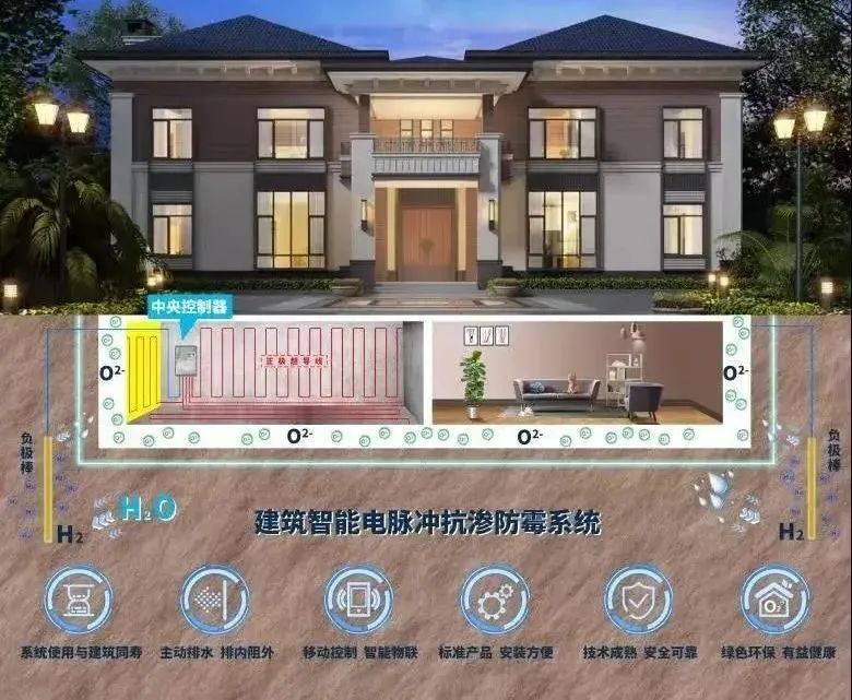 1632901809192500.jpg 2.jpg