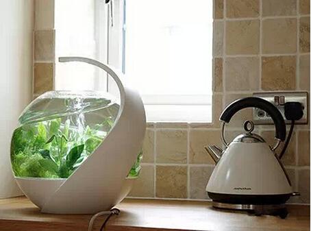 1645523784120345.jpg 8.jpg