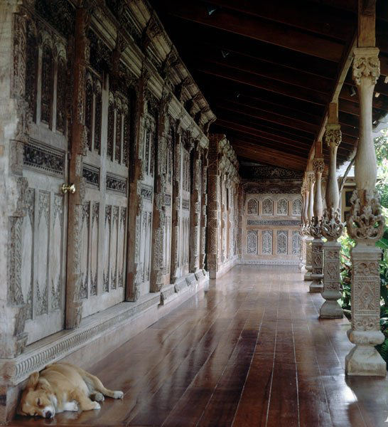 1647412107226481.jpg 27.jpg