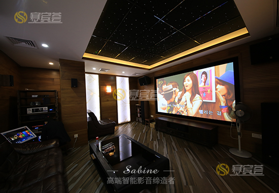 山水莊園私人定制3D家庭影院