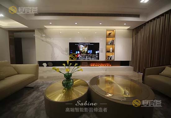 佛山桂城中海千燈湖一號客廳影院