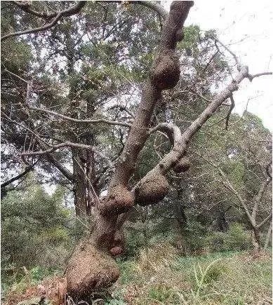 1635320542214424.jpg 6.jpg