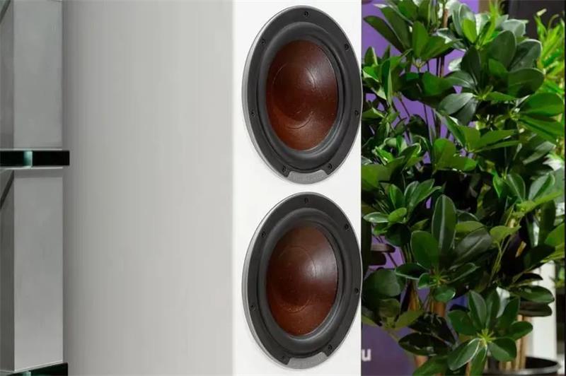 1639554388725324.jpg 8.jpg